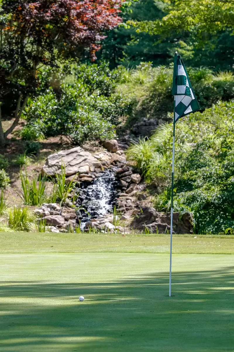 Branded flag on golf course